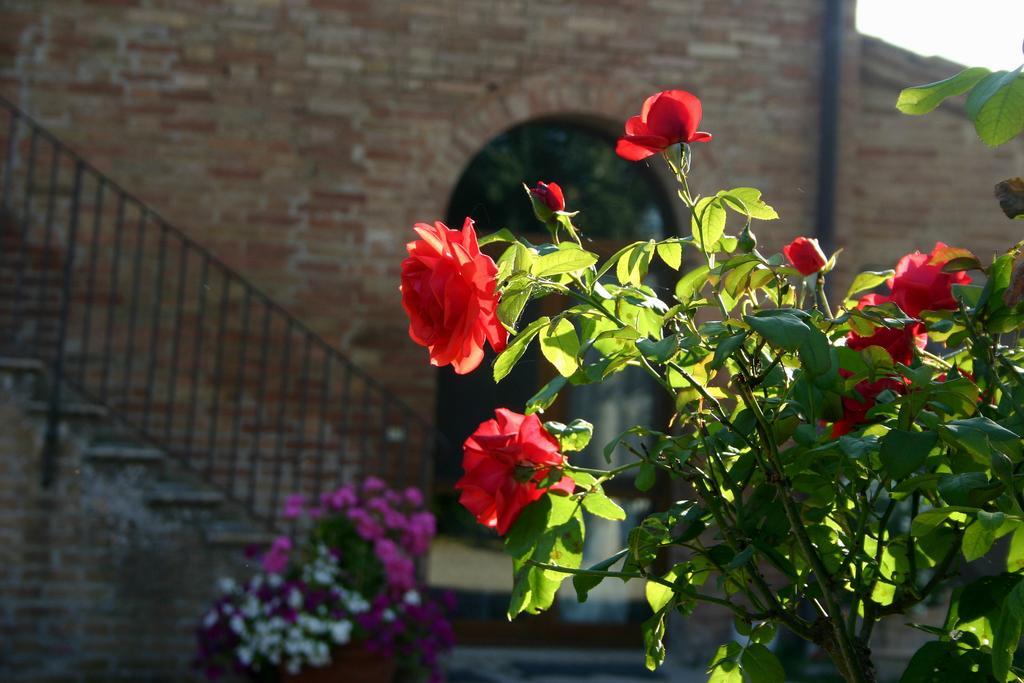 Fattoria Armena Villa Buonconvento Exterior photo