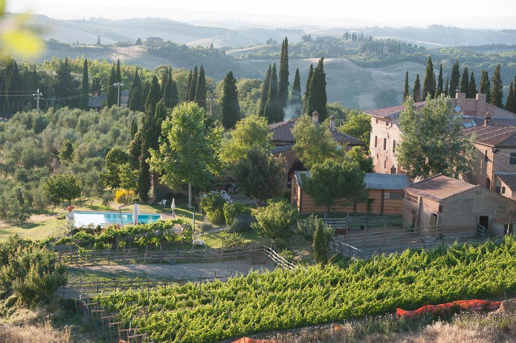 Fattoria Armena Villa Buonconvento Exterior photo